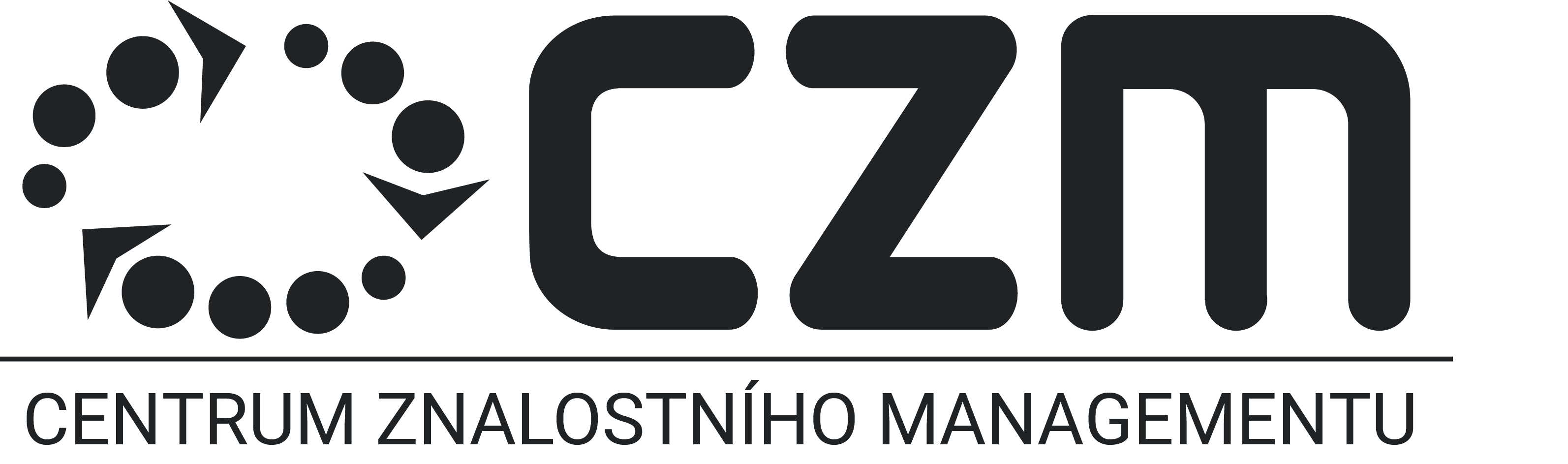 CZM logo
